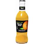 Minute Maid Orange fles 20cl