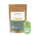 TrendingTea Green Ginger Lemon piramidezakjes 2gr Fairtrade