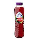 Spa Fruit Still Raspberry Blackcurrant S.PET 40cl